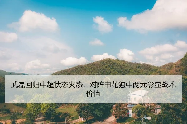 wu-lei-hui-gui-zhong-chao-zhuang-tai-huo-re-dui-zhen-shen-hua-du-zhong-liang-yuan-zhang-xian-zhan-shu-jia-zhi-2-476.jpg