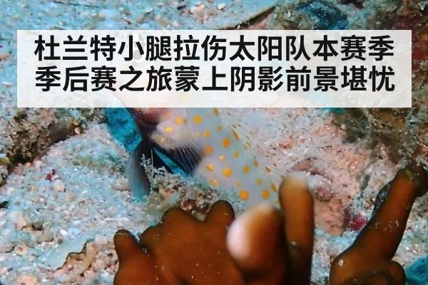 杜兰特小腿拉伤太阳队本赛季季后赛之旅蒙上阴影前景堪忧